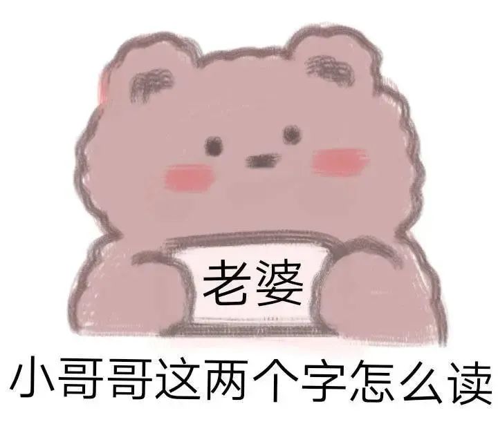 表情包｜小熊 ʕ•͡-•ʔ