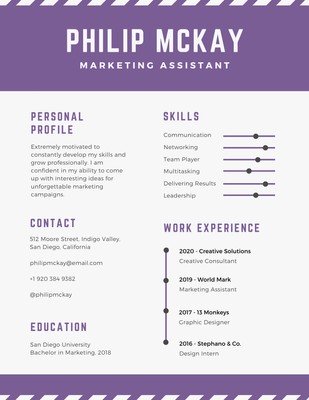 Purple and Gray Timeline Infographic Resume