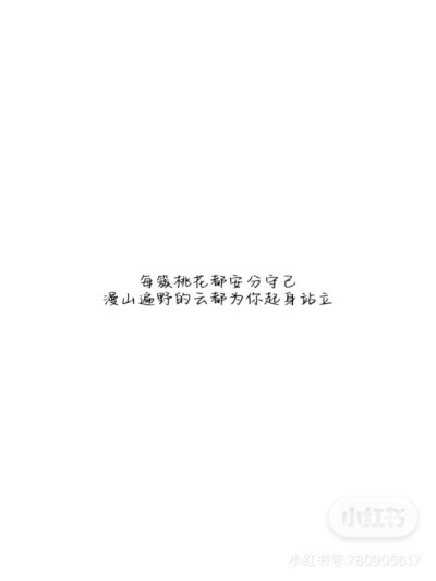 背景图·白底黑字