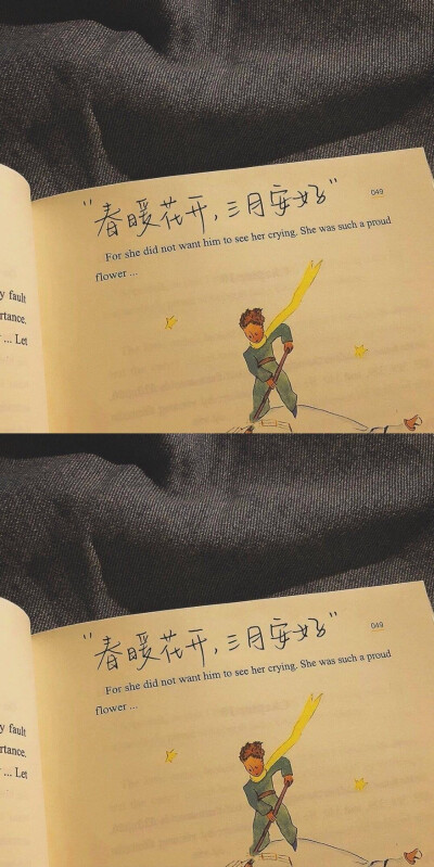 “哪有人喜欢孤独啊，只是不想失望罢了。”
——村上春树《挪威的森林》
拼接壁纸/手绘文字/小王子ins