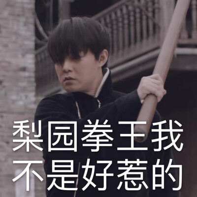 鬓边表情包哇，正鹅可可爱爱