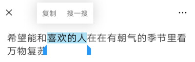 您是我喜欢的人您说话也可爱不说话也可爱您于人群中可爱孤独时也可爱您可爱时可爱不可爱时也可爱。