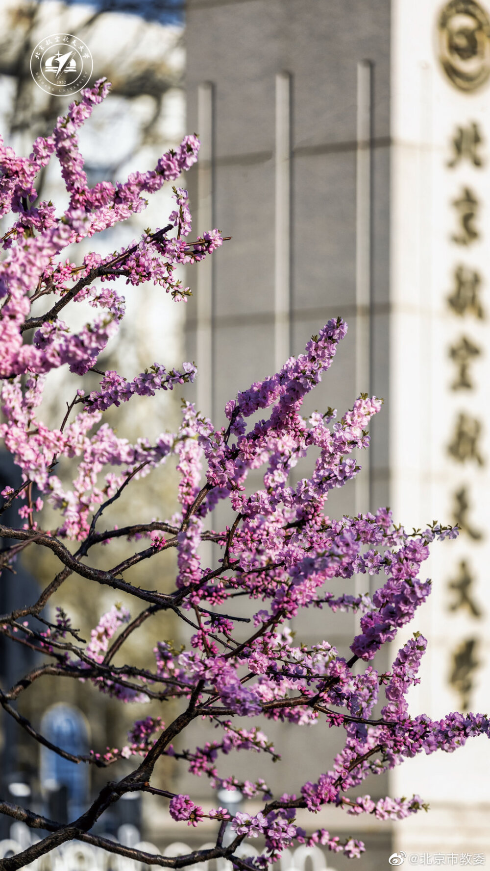 北京航空航天大学