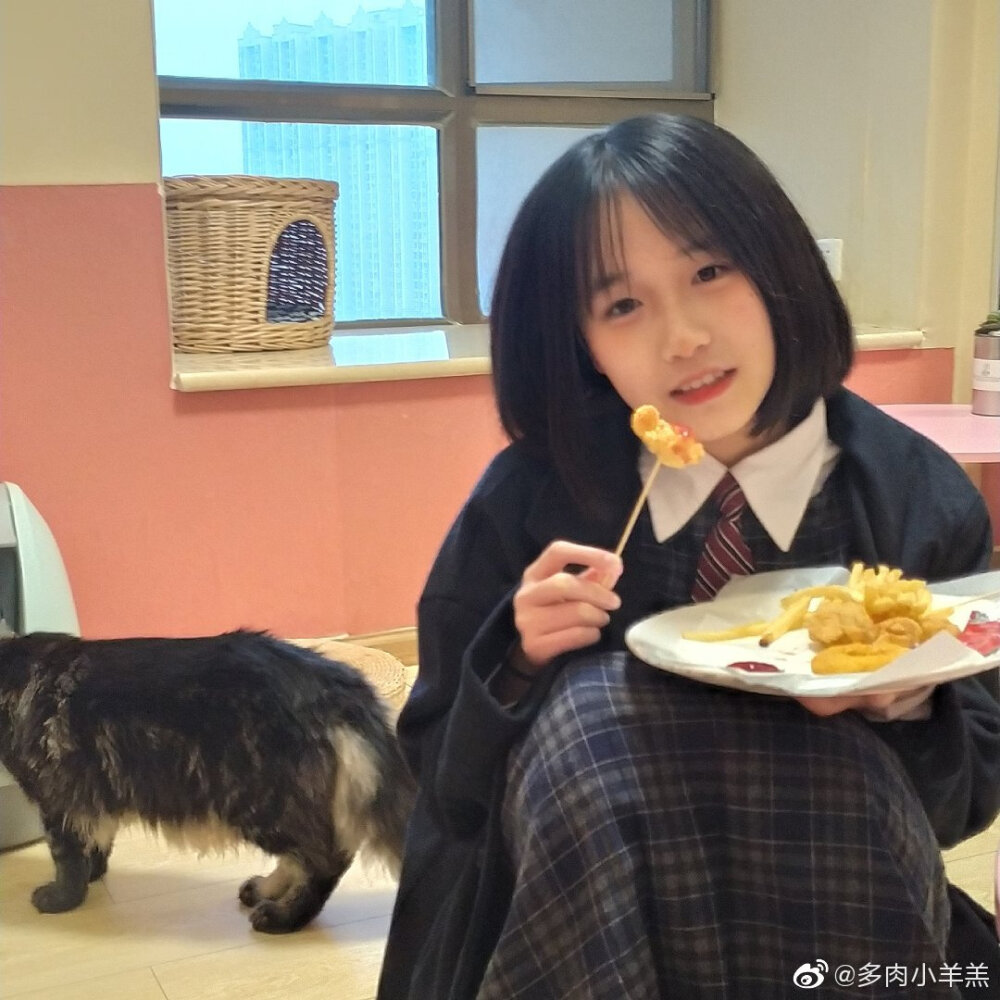 wb多肉小羊羔
