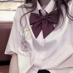 电子代码小猫 关注 jk制服头像 #女生头像 赞 评论 收藏 更多 发布至