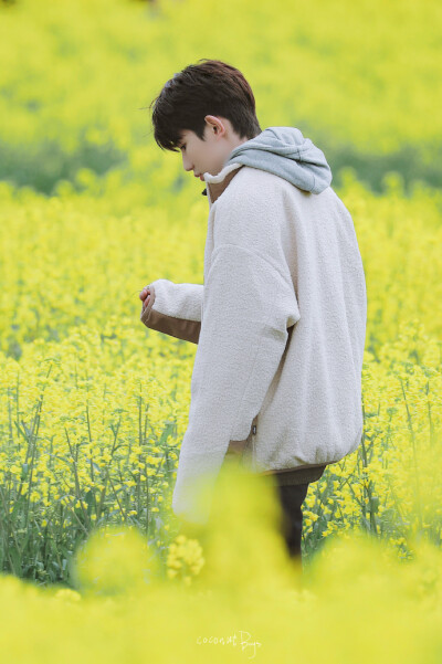 花海中的少年