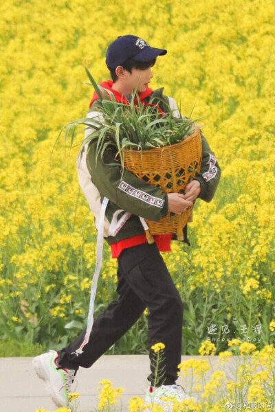 花海中的少年