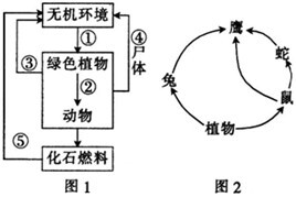 哥本哈根，送一個(gè)畢達(dá)哥拉斯