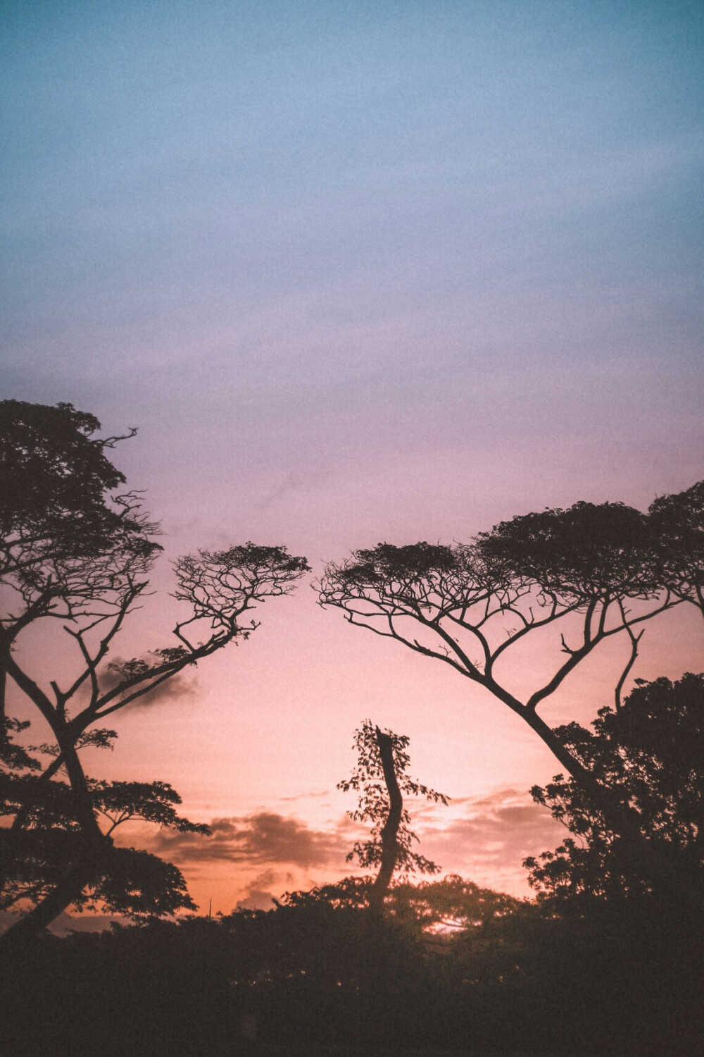 风景壁纸