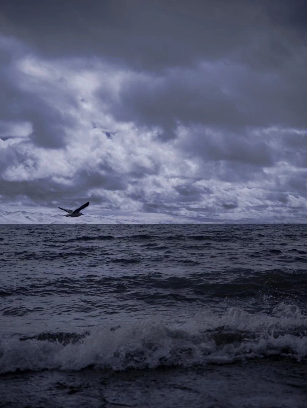 壁纸
图源网络侵权致歉