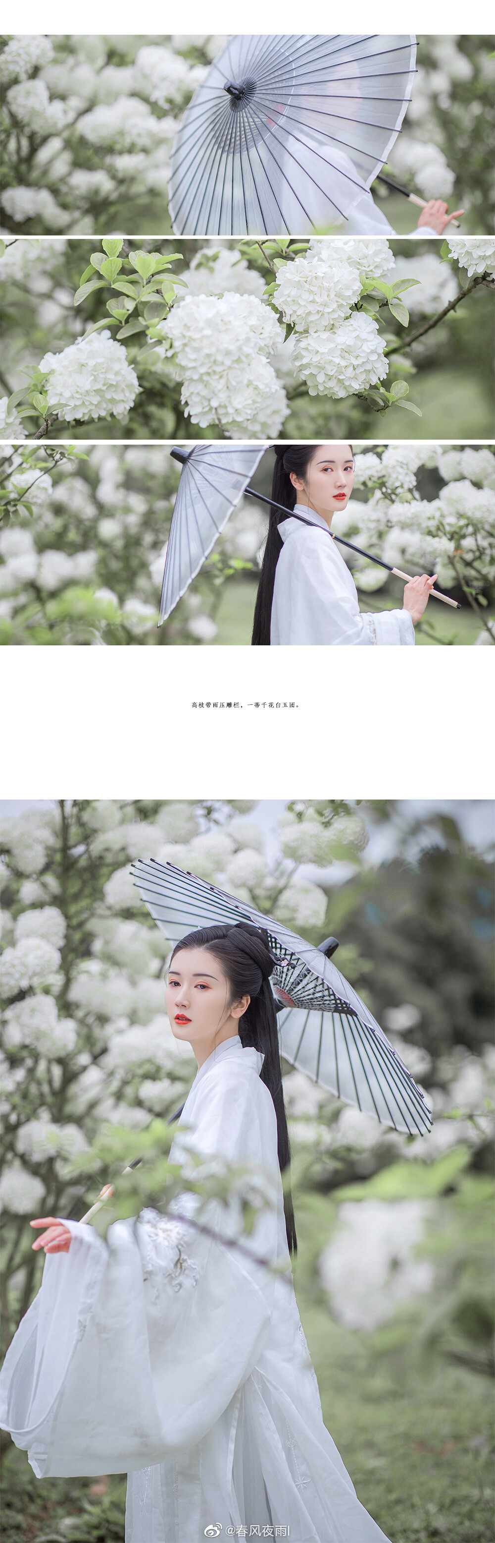 #美人客集#
| 琼 花 |
“ 美人如花隔云端。”
出镜/@张滋滋-Zz
摄排后/@春风夜雨l
#摄影#
感谢同行的小伙伴们～
优秀的打板师沛沛@XUPEI ，全程投喂的胡胡@胡小白2柠檬 ，妆造超好看的不及@不及-
#成都约拍##成都约拍##喜欢拍照也喜欢你##汉服摄影# 