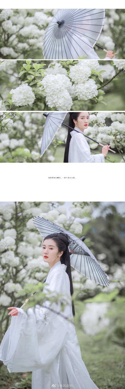 #美人客集#
| 琼 花 |
“ 美人如花隔云端。”
出镜/@张滋滋-Zz
摄排后/@春风夜雨l
#摄影#
感谢同行的小伙伴们～
优秀的打板师沛沛@XUPEI ，全程投喂的胡胡@胡小白2柠檬 ，妆造超好看的不及@不及-
#成都约…