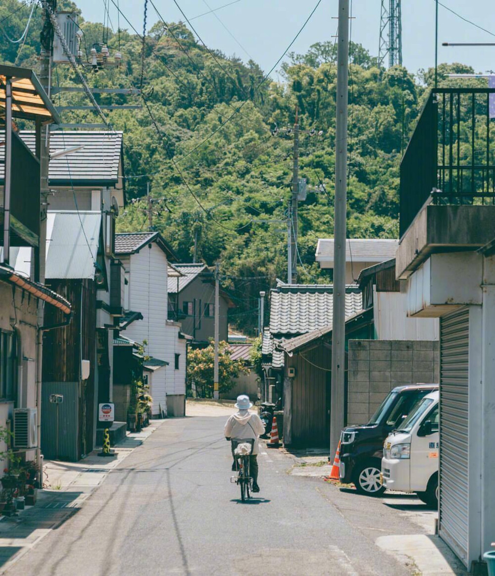 城市