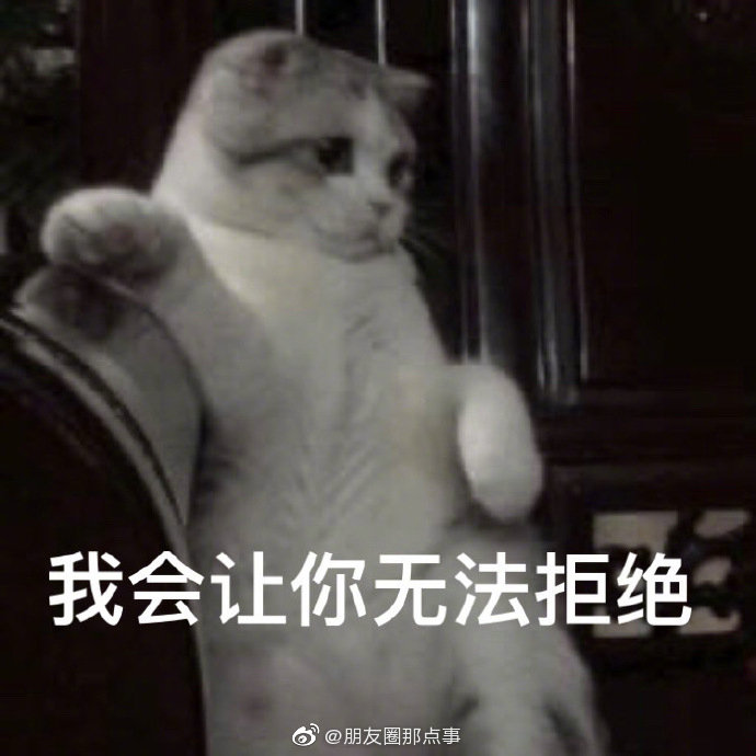 猫猫头