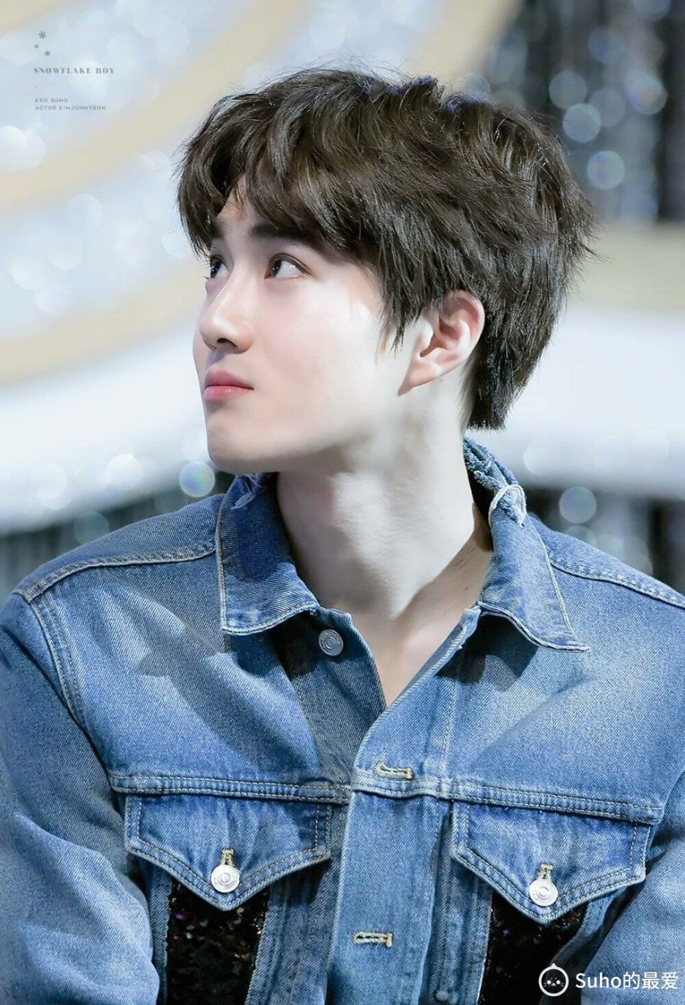 金俊勉 EXO suho