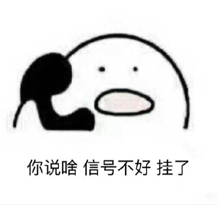 你说啥信号不好挂了