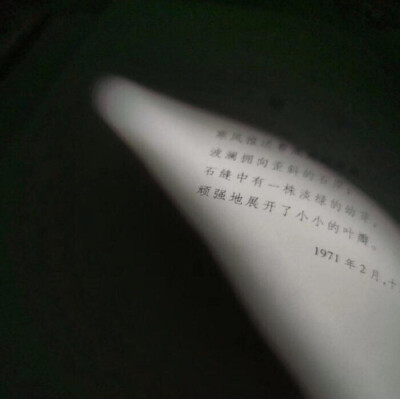 “生活就是哄自己，把自己劝明白，什么都解决了。”
—— 网易云热评《假装》 ​
朋友圈文案/背景图ins