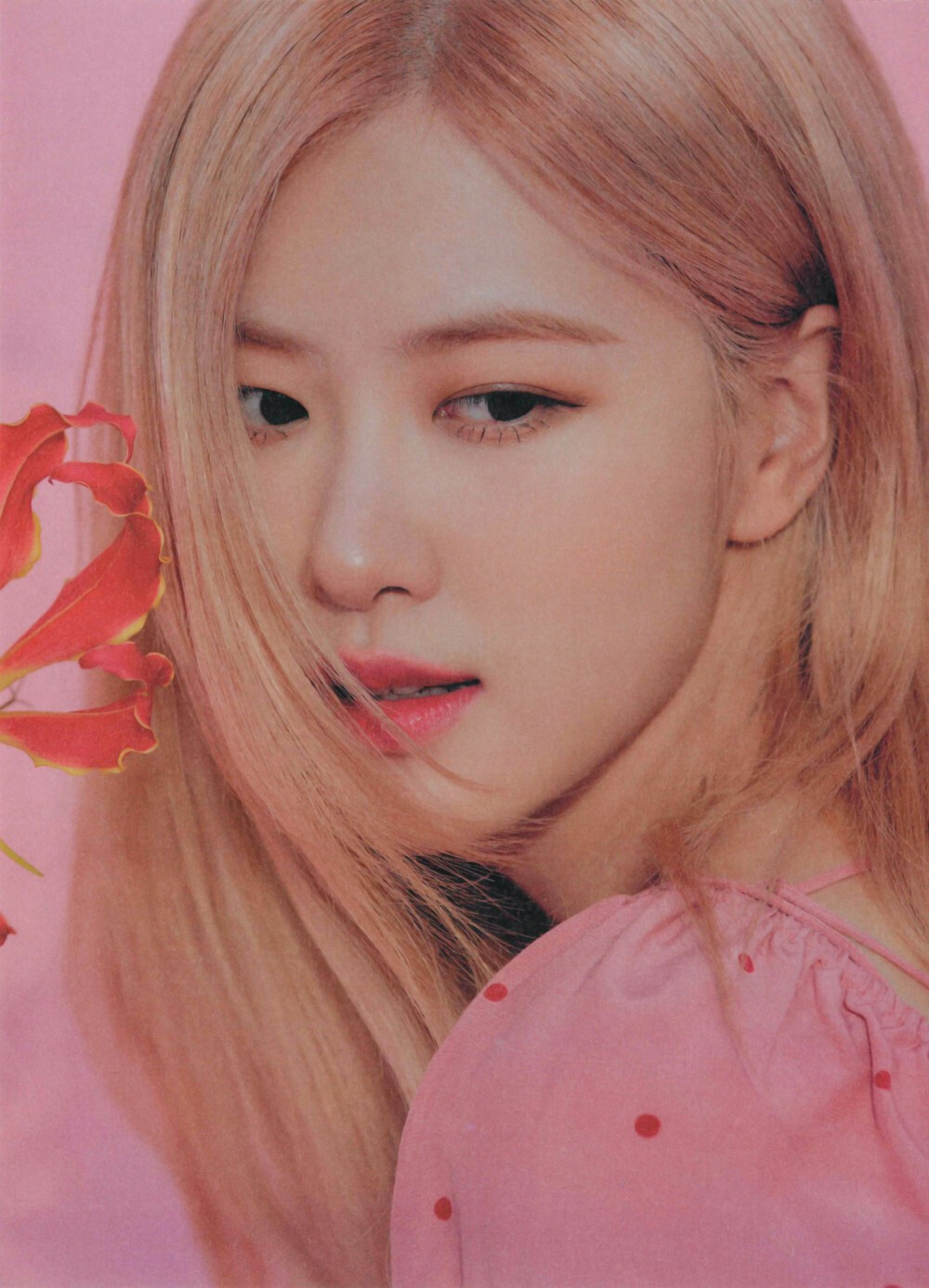 Rosé