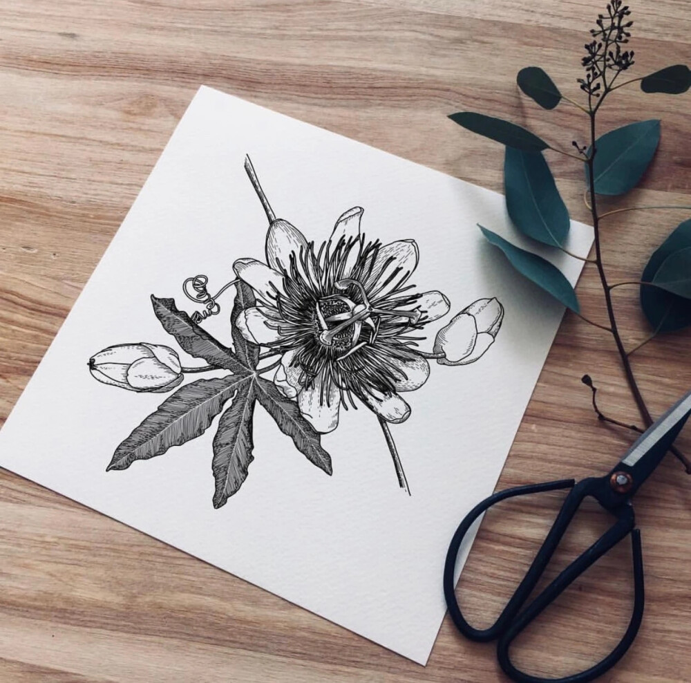 线描花