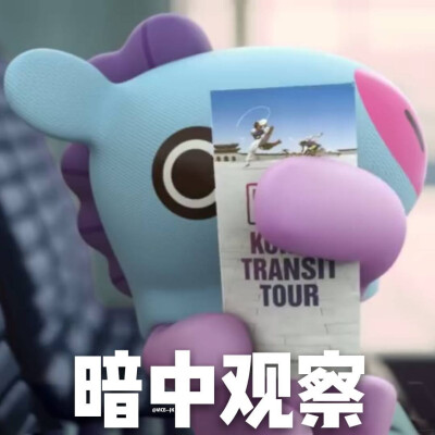 bt21