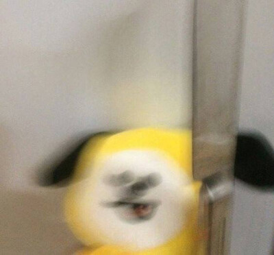bt21
