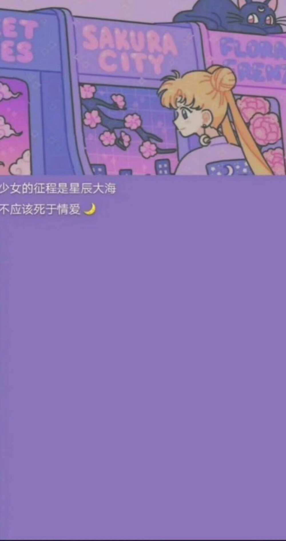 purple壁纸 背景图