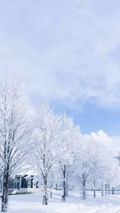 雪花壁纸