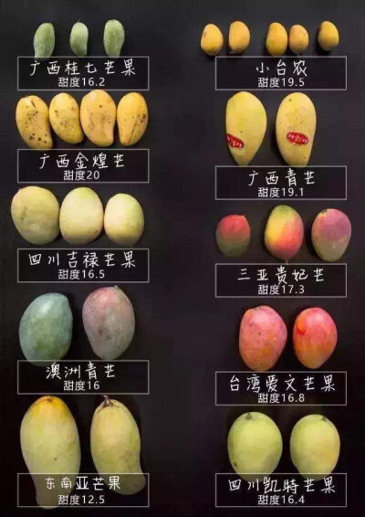 多吃芒果吧