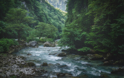 200416 - Abkhazia by Daniil Silantev / Unsplush