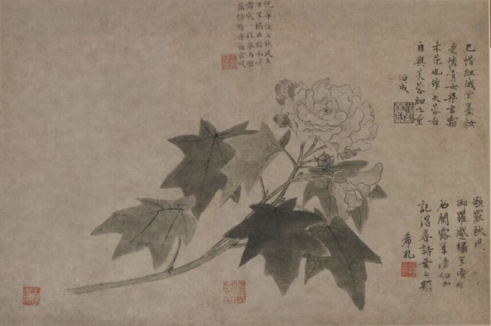 《芙蓉花图页》  元 · 王渊