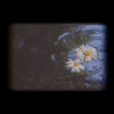 daisy香水广告
微博©写真迷