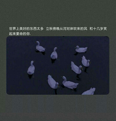 我在这里等风也等你～