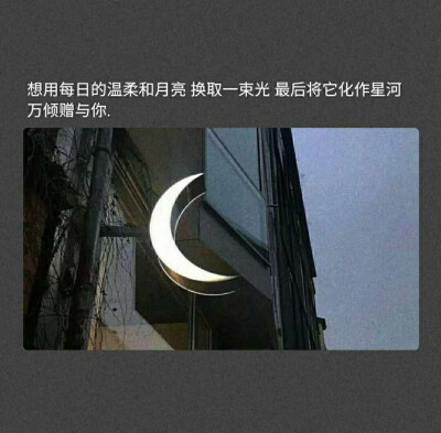 我在这里等风也等你～