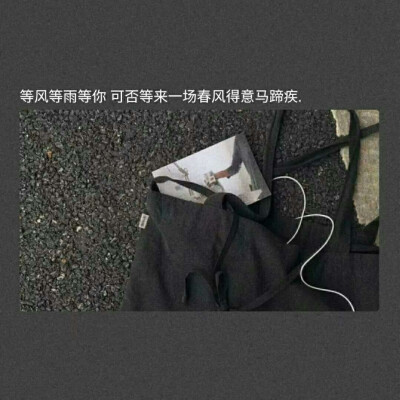 我在这里等风也等你～