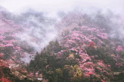 【原创】《暮春的相思》
星闪闪
陪伴，月下一抹孑然
星芒，刺破铠甲
袒露贝母的柔软
似最亮的眼眸
看透一切，与我有关
不想，背着空壳，闪躲
沉沦至有你的星河
迎向坦然，迎向你
你手，指向的弧度
是风月的霞帔
是含…