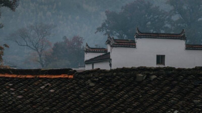 【原创】《阮郎归·烟雨》
清明过后谷雨临，
茫茫烟雨中。
船靠河边不撒网，
柳茐舞花苁。
芳草路，踏青还，
夕阳红半空。
外入冠毒仍不绝，
坚持防卫战危凶！
今年的春天，还是小心过。年年岁岁春相似，网络春游，…