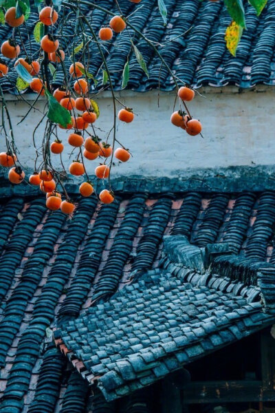 【原创】《阮郎归·烟雨》
清明过后谷雨临，
茫茫烟雨中。
船靠河边不撒网，
柳茐舞花苁。
芳草路，踏青还，
夕阳红半空。
外入冠毒仍不绝，
坚持防卫战危凶！
今年的春天，还是小心过。年年岁岁春相似，网络春游，…