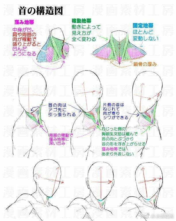 头颈肩结构教程。