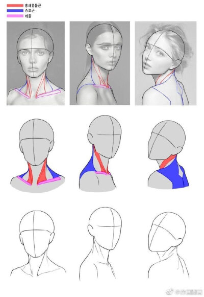 头颈肩结构教程。