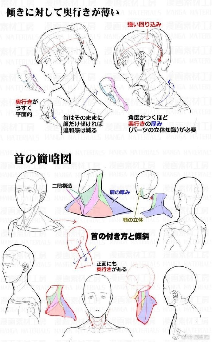 头颈肩结构教程。