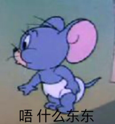 萌萌小泰菲～