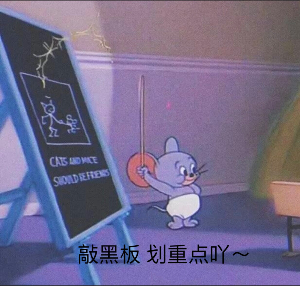 萌萌小泰菲～