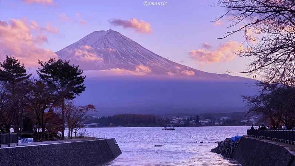 紫色系 唯美风景 背景图