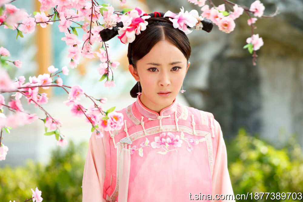 宫锁心玉
杨幂 饰 洛晴川/花影