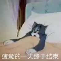 疲惫的一天终于结束（汤姆猫）