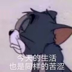 今天的生活也是同样的苦涩(汤姆猫表情包)