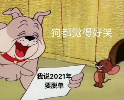 我說(shuō)2021年要脫單，狗都覺(jué)得好笑（貓和老鼠杰瑞鼠表情包）