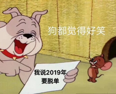 我说2019年要脱单，狗都觉得好笑（猫和老鼠杰瑞鼠表情包）