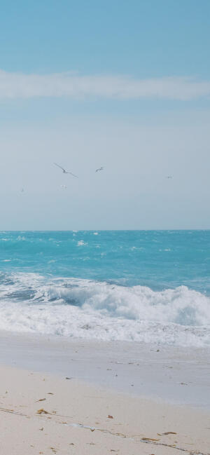 蓝色大海