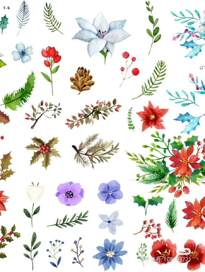 植物小清新手账素材姜然